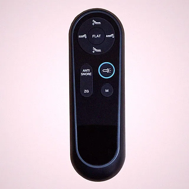 Richmat HJH158 Remote Replacement for Malouf Structures E455 Adjustable Bed Base